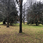 PARCELAS (2) CON DOS CABAÑAS SECTOR CANDELARIA – VILLARRICA