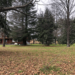 PARCELAS (2) CON DOS CABAÑAS SECTOR CANDELARIA – VILLARRICA