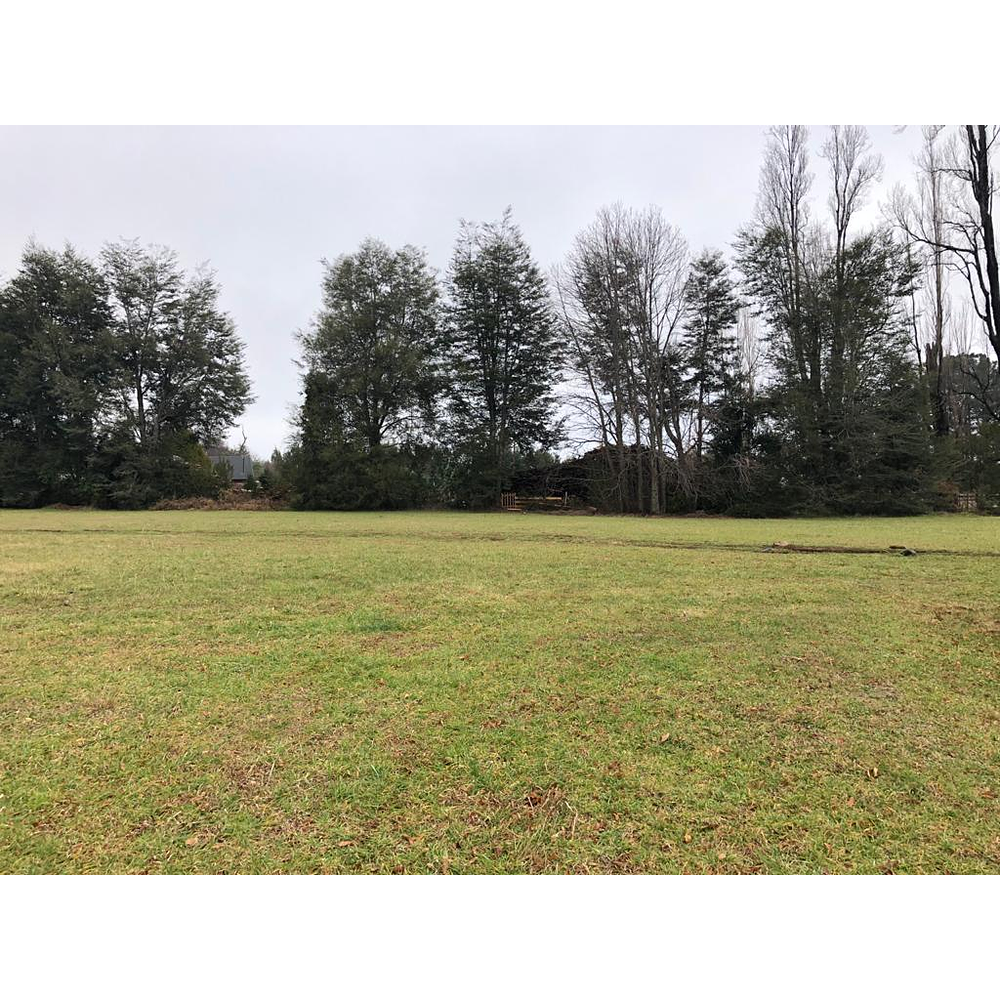 PARCELAS (2) CON DOS CABAÑAS SECTOR CANDELARIA – VILLARRICA