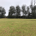 PARCELAS (2) CON DOS CABAÑAS SECTOR CANDELARIA – VILLARRICA