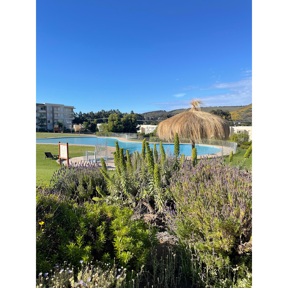 Venta departamento 3 dormitorios - 2 baños - Lomas de Papudo - Papudo  