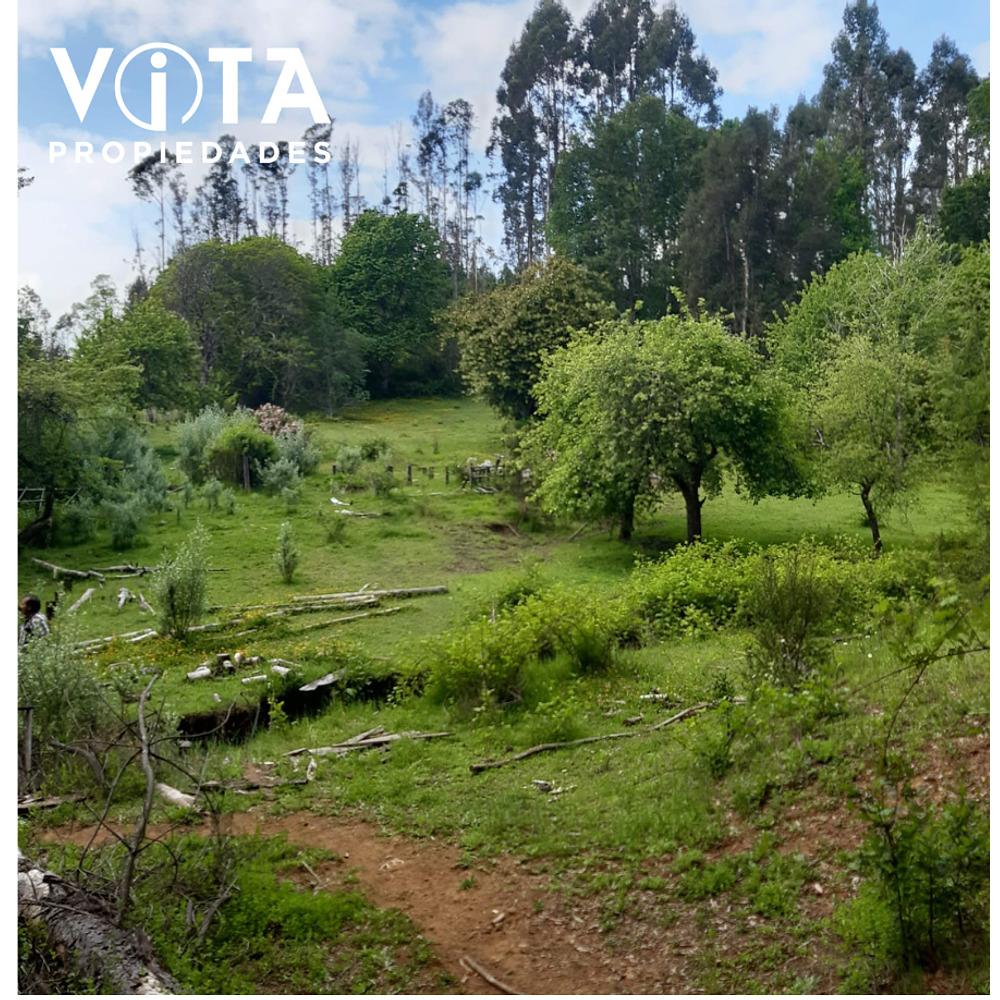 Venta Terreno Cunco, Villarrica 