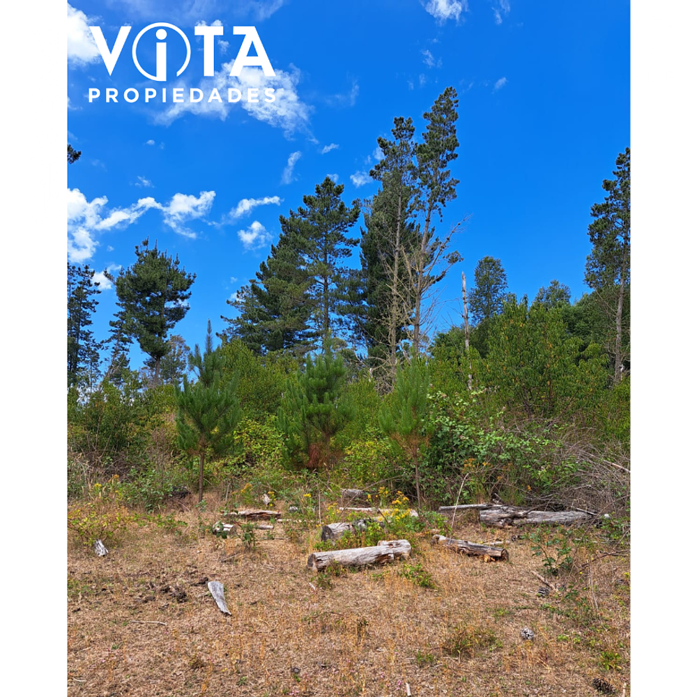 Venta Terreno Cunco, Villarrica 