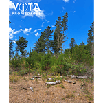 Venta Terreno Cunco, Villarrica 