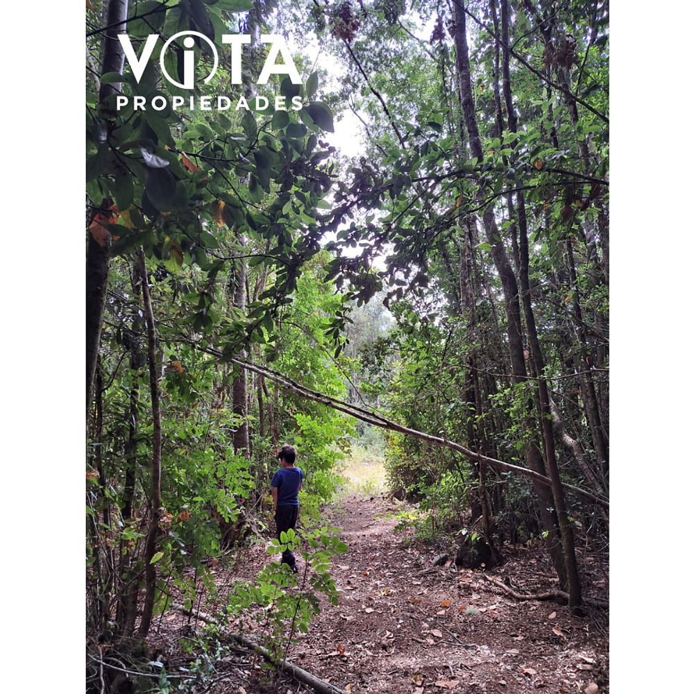 Venta Terreno Cunco, Villarrica 