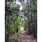 Venta Terreno Cunco, Villarrica 