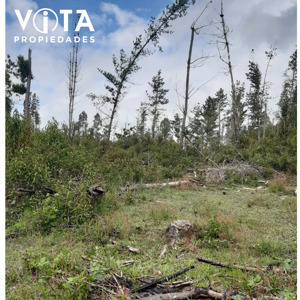 Venta Terreno Cunco, Villarrica 