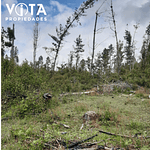 Venta Terreno Cunco, Villarrica 