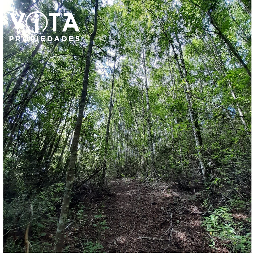 Venta Terreno Cunco, Villarrica 