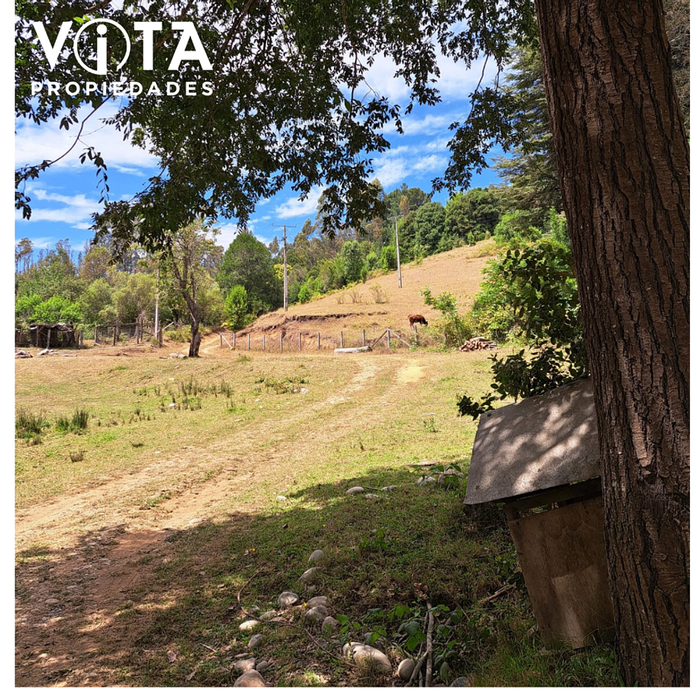 Venta Terreno Cunco, Villarrica 