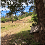 Venta Terreno Cunco, Villarrica 