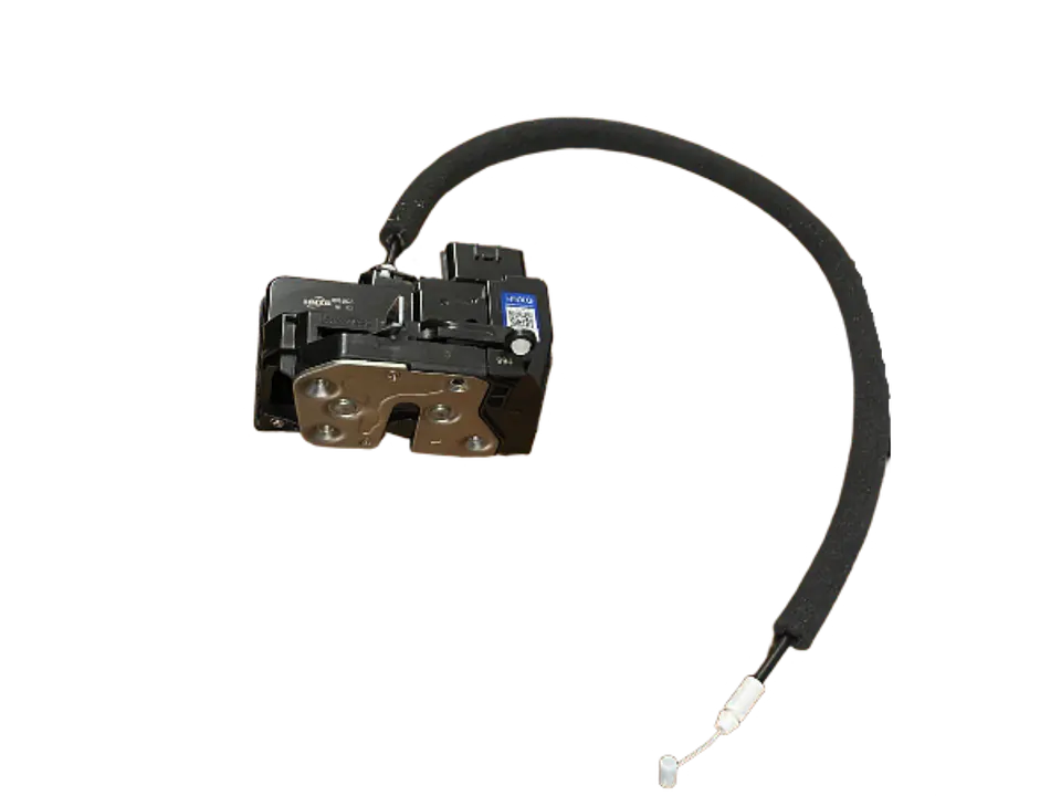 Chapa de Puerta Conductor Great Wall POER 2.0 Original 1