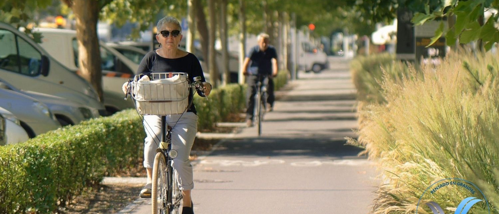 Envejecimiento Activo y Saludable: Vive Mejor Cada Día