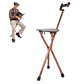 Bastón con Asiento Plegable en Promoción - Miniatura 1