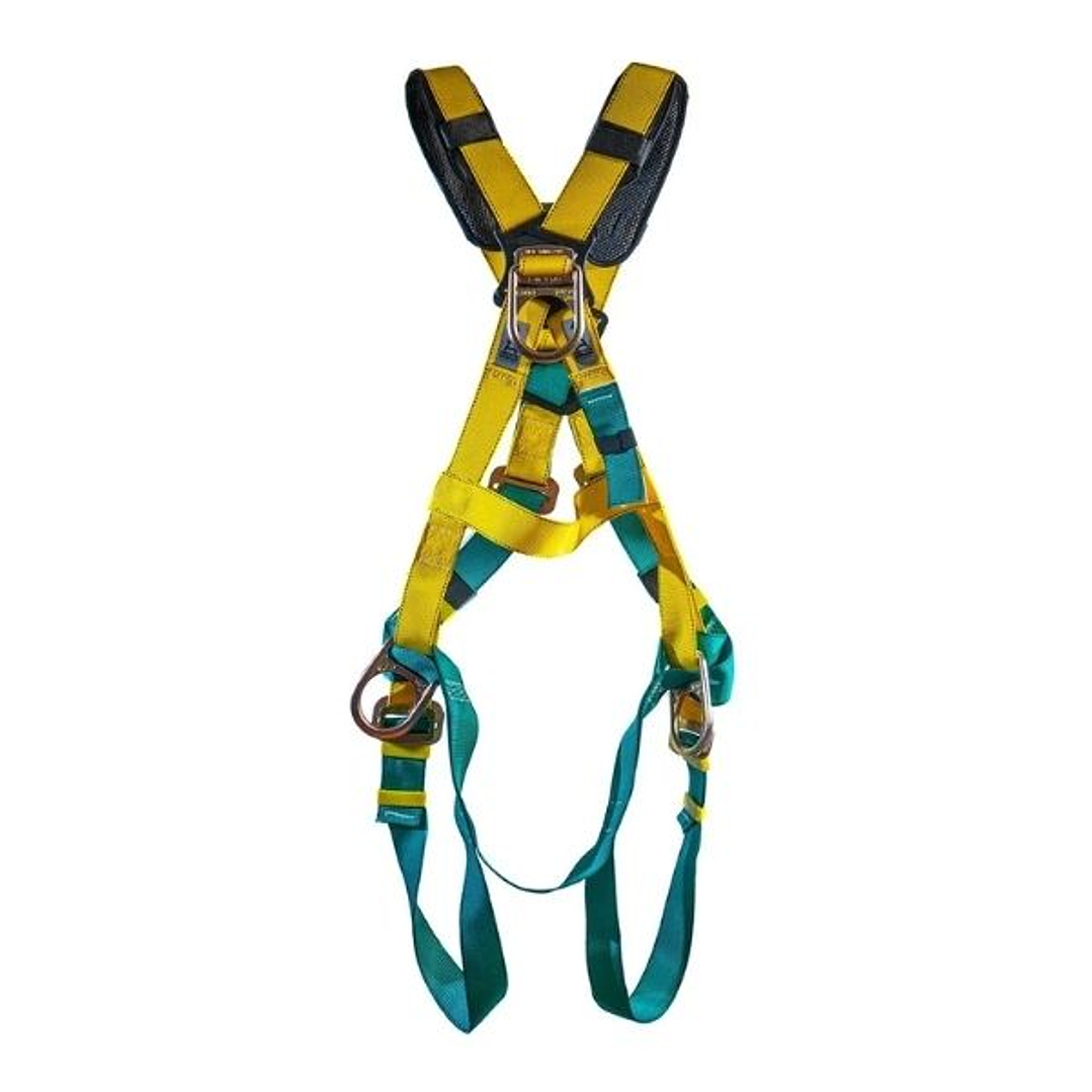 ARNES MSA 4 ARG 278341 1