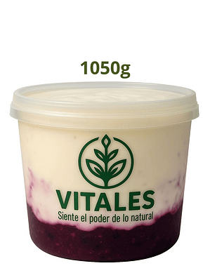 Yogurt griego artesanal con frutos rojos | Natural, sin conservantes y sin colorantes | 1050g (familiar) --Con INVIMA
