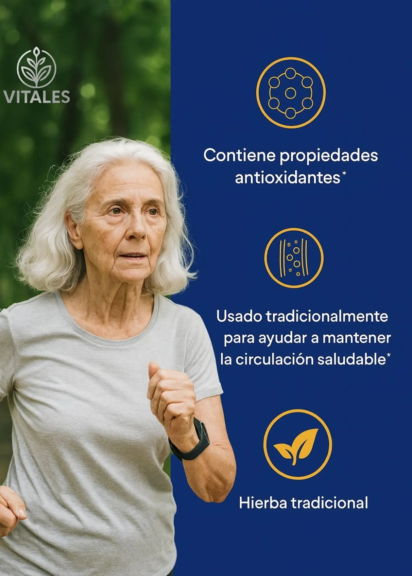 Puritan's Pride Ajo Fresco Sin Olor Premium 500 mg 250 cápsulas – Fuerza natural para tu corazón y circulación | Colombia 2