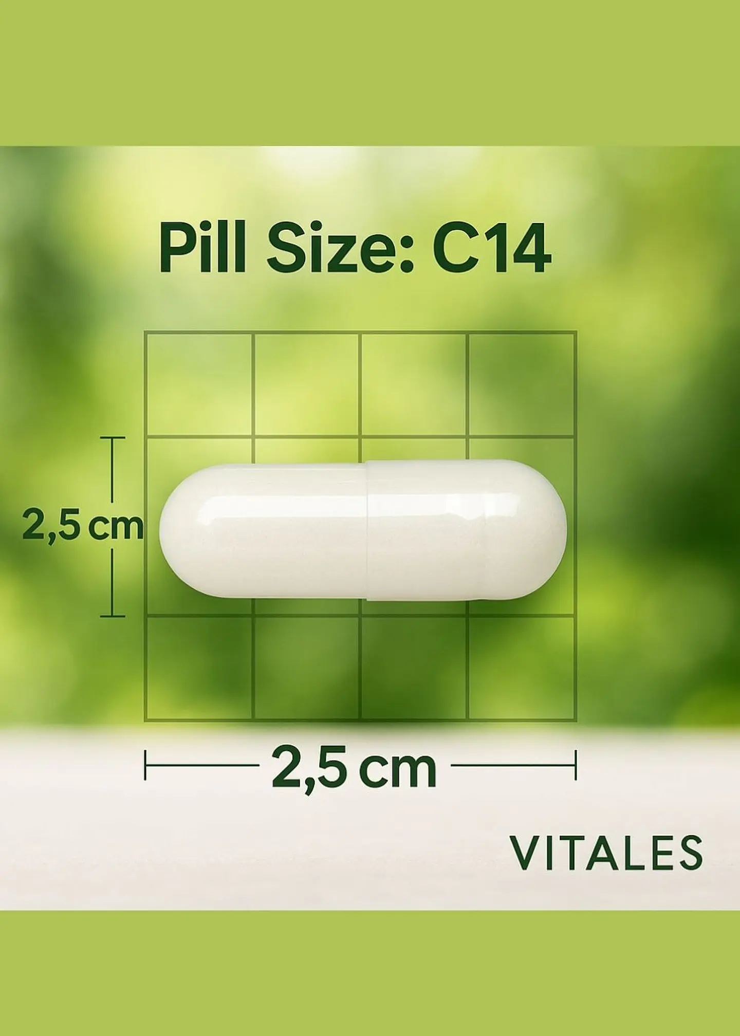 Puritan’s Pride Glucosamina, Condroitina & MSM – 240 Cápsulas | Articulaciones, Movilidad y Cartílago Saludable | Colombia 2