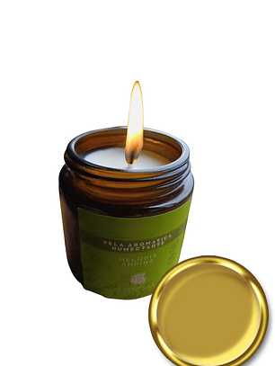 Vela Aromática Humectante Natural con Aceites Esenciales de Cidrón y Manzanilla 100g | Doble Propósito: Aroma & Hidratación | Cera de Soya, Coco y Karité | Libre de Fragancias Sintéticas | Colombia
