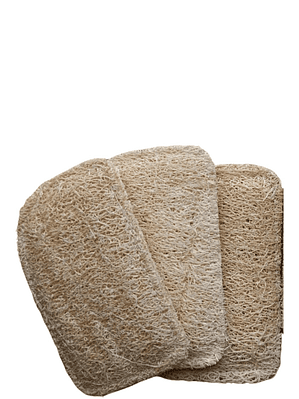 Esponjilla Ecológica de Luffa x 3 | Uso Corporal o Cocina | 100% Natural y Compostable | No Raya | Biodegradable