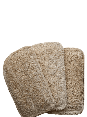 Esponjilla Ecológica de Luffa x 3 | Uso Corporal o Cocina | 100% Natural y Compostable | No Raya | Biodegradable