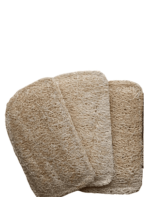 Esponjilla Ecológica de Luffa x 3 | Uso Corporal o Cocina | 100% Natural y Compostable | No Raya | Biodegradable