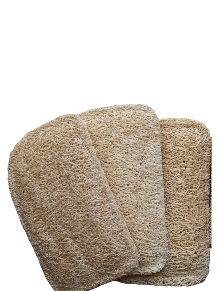 Esponjilla Ecológica de Luffa x 3 | Uso Corporal o Cocina | 100% Natural y Compostable | No Raya | Biodegradable 1