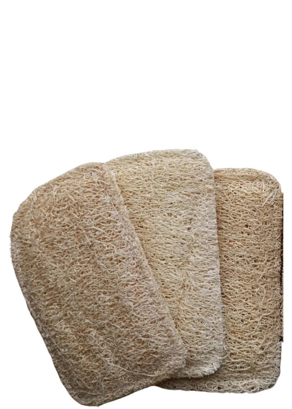 Esponjilla Ecológica de Luffa x 3 | Uso Corporal o Cocina | 100% Natural y Compostable | No Raya | Biodegradable 1