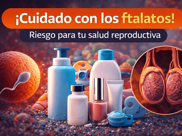 Ftalatos y salud reproductiva: lo que revela una revisión científica reciente (2025)