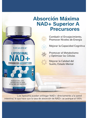 NAD+ Liposomal 750 mg 120 cápsulas | Absorción Máxima | Energía Celular, Antienvejecimiento y Metabolismo Activo | Colombia