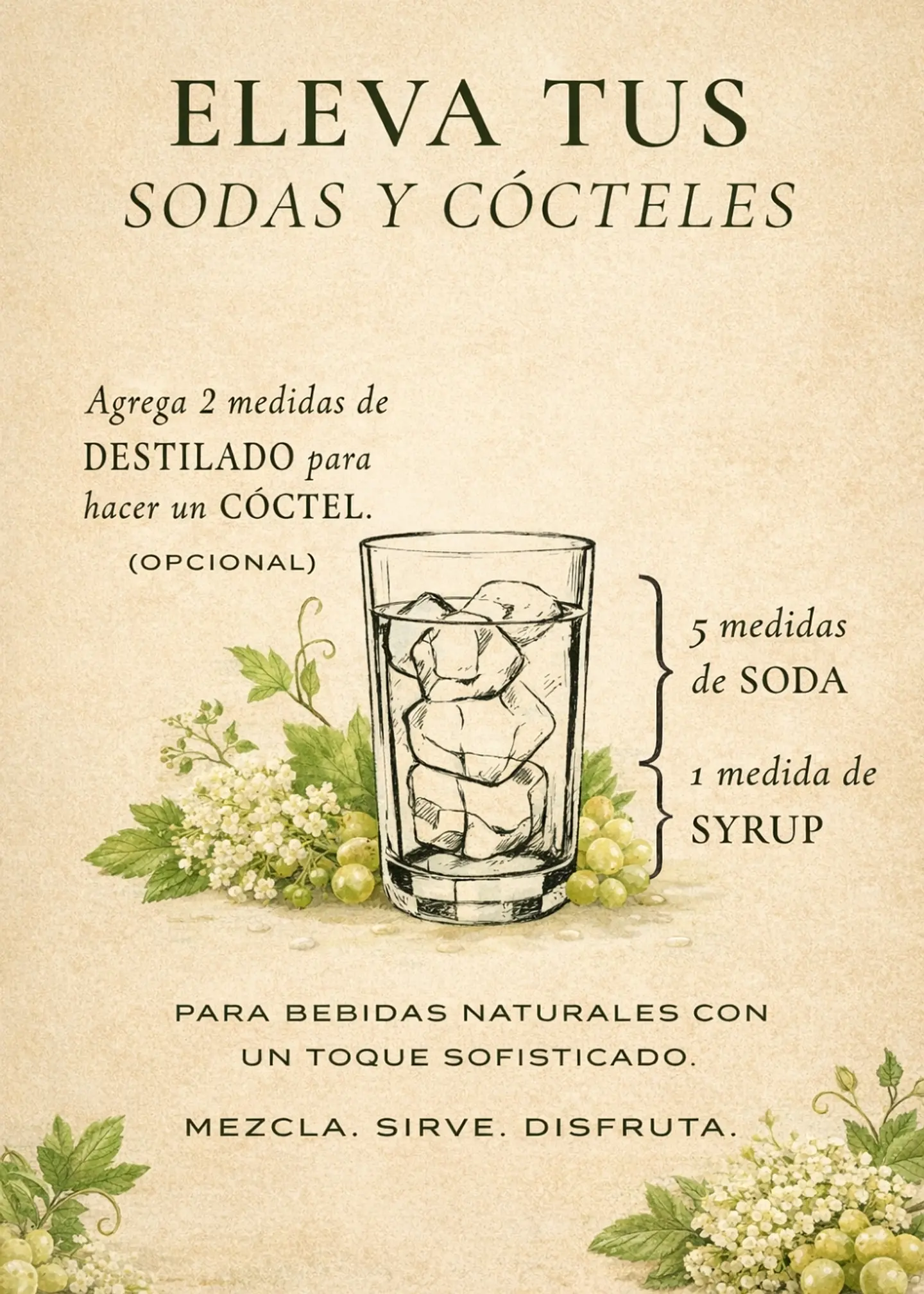 Syrup Uva Blanca & Flor de Saúco 510 ml | Viñas de Francia | Bebida Natural Tipo Soda o Cóctel | Rinde 3 Litros  3