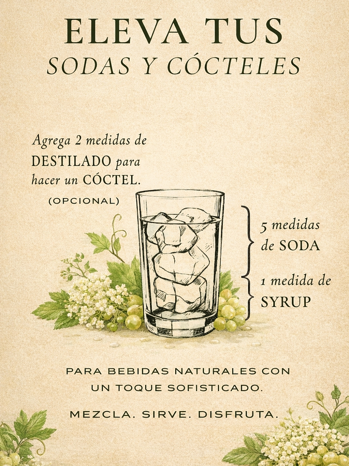 Syrup Uva Blanca & Flor de Saúco 510 ml | Viñas de Francia Pelletier | Bebida Natural Tipo Soda o Cóctel | Rinde 3 Litros  3