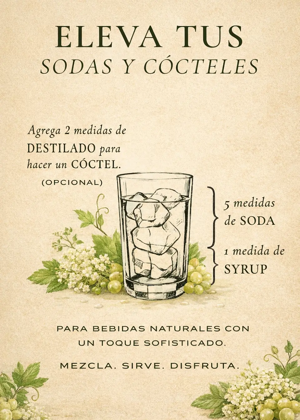 Syrup Uva Blanca & Flor de Saúco 510 ml | Viñas de Francia | Bebida Natural Tipo Soda o Cóctel | Rinde 3 Litros  3