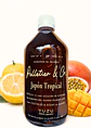 Syrup Japón Tropical 510 ml | Yuzu Japonés, Maracuyá y Mango Alphonso | Bebida Natural Tipo Soda o Cóctel | Rinde 2.5–3 Litros | Perfil Cítrico Exótico - Miniatura 1