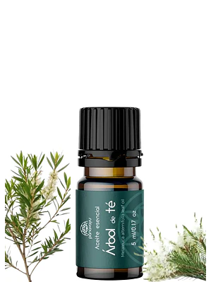 Aceite Esencial de Árbol de Té 5 ml | Antiséptico Natural, Antifúngico y Purificante | Acné, Hongos y Piel