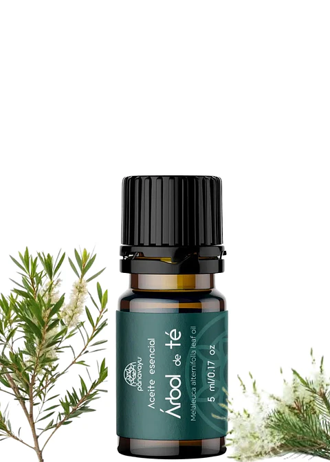 Aceite Esencial Puro de Árbol de Té 5 ml | Antiséptico Natural, Antifúngico y Purificante | Acné, Hongos y Piel