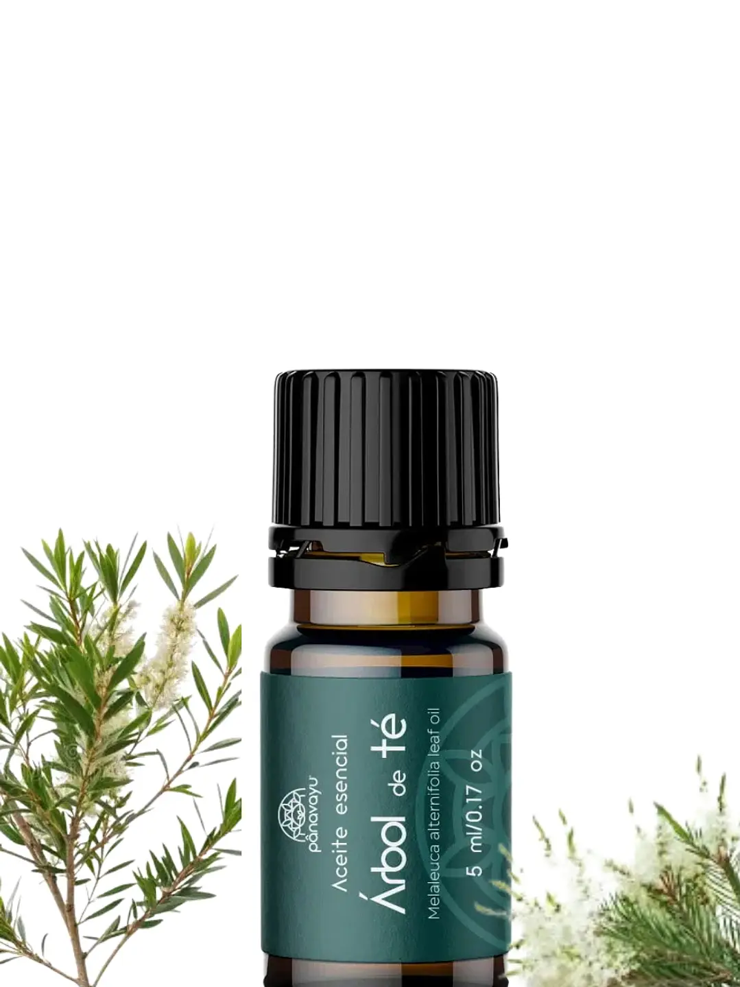 Aceite Esencial de Árbol de Té 5 ml | Antiséptico Natural, Antifúngico y Purificante | Acné, Hongos y Piel 1