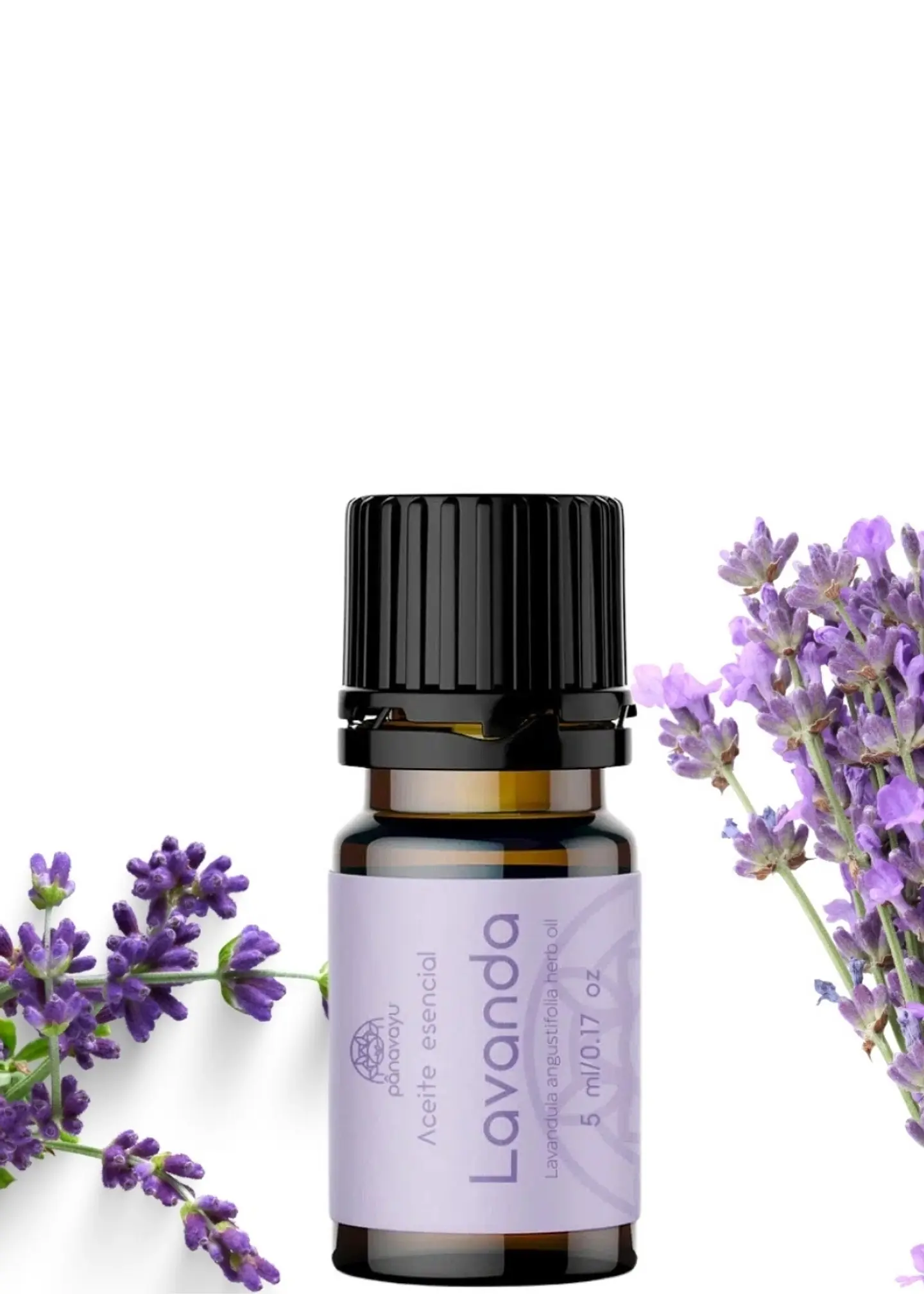 Aceite Esencial Puro de Lavanda 5 ml | Relajación, Sueño y Calma Natural | Antiestrés, Piel y Aromaterapia 1