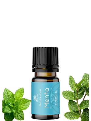 Aceite Esencial de Menta 5 ml | Energía, Enfoque y Alivio Muscular | Digestión, Respiración y Cuero Cabelludo