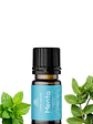 Aceite Esencial de Menta 5 ml | Energía, Enfoque y Alivio Muscular | Digestión, Respiración y Cuero Cabelludo - Miniatura 1