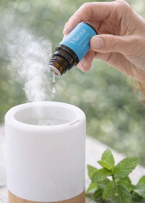 Aceite Esencial Puro de Menta 5 ml | Energía, Enfoque y Alivio Muscular | Digestión, Respiración y Cuero Cabelludo