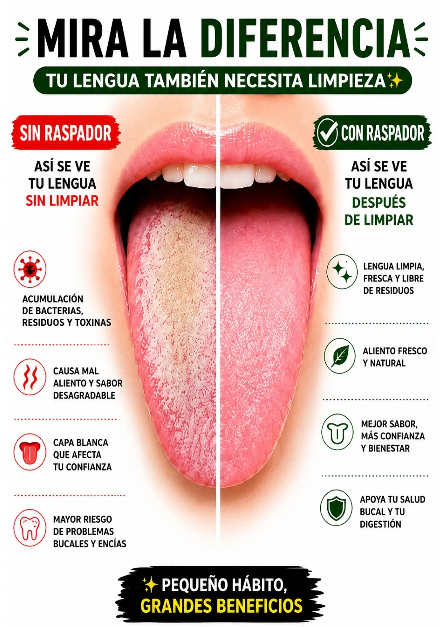 Kit Premium Limpiador de Lengua en Acero Inoxidable con Estuche Metálico | Raspador en “U” + Raspador de Precisión Tipo Cuchara | Higiene Oral Profunda y Aliento Fresco 2