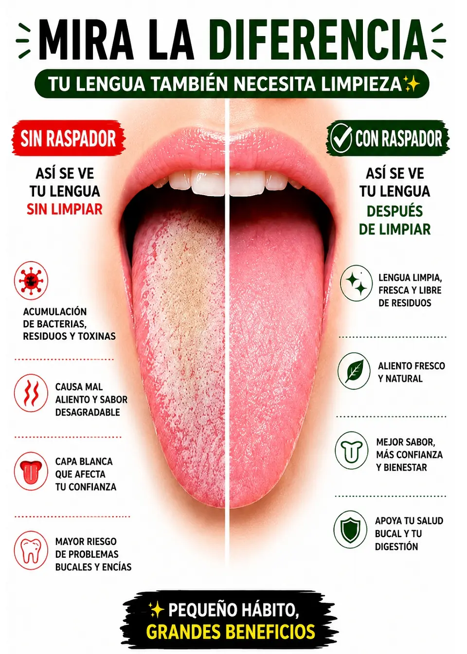 Kit Premium Limpiador de Lengua en Acero Inoxidable con Estuche Metálico | Raspador en “U” + Raspador de Precisión Tipo Cuchara | Higiene Oral Profunda y Aliento Fresco 2