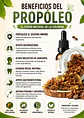 Extracto de Propóleo 25 cc | Apoyo Natural para las Defensas, Garganta y Bienestar Respiratorio - Miniatura 2