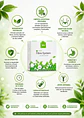 4Life | Fibre System Plus 180 cápsulas - Limpieza digestiva y desintoxicación natural en 10 días | Colombia - Miniatura 2