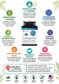 Ashwagandha Youtheory KSM-66® 1000 mg x 180 Cápsulas | Manejo del Estrés, Ansiedad, Energía,  Concentración  y Bienestar Integral | Orgánica | Importada de EE. UU. | Colombia - Miniatura 2