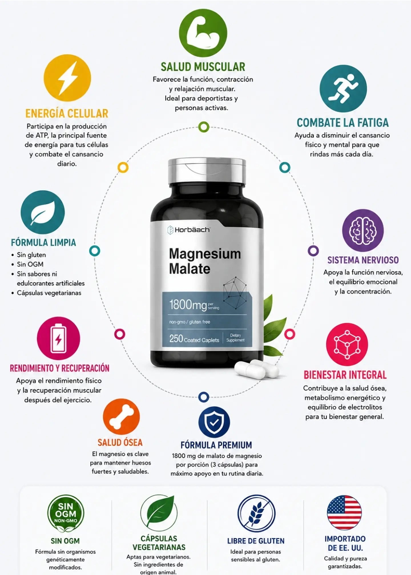Malato de Magnesio Horbäach 1800 mg | 250 Cápsulas Vegetarianas | Energía Muscular,  Fatiga, Salud Muscular, Sistema Nervioso y Bienestar Integral | Sin OGM | Importado de EE. UU | Colombia 2