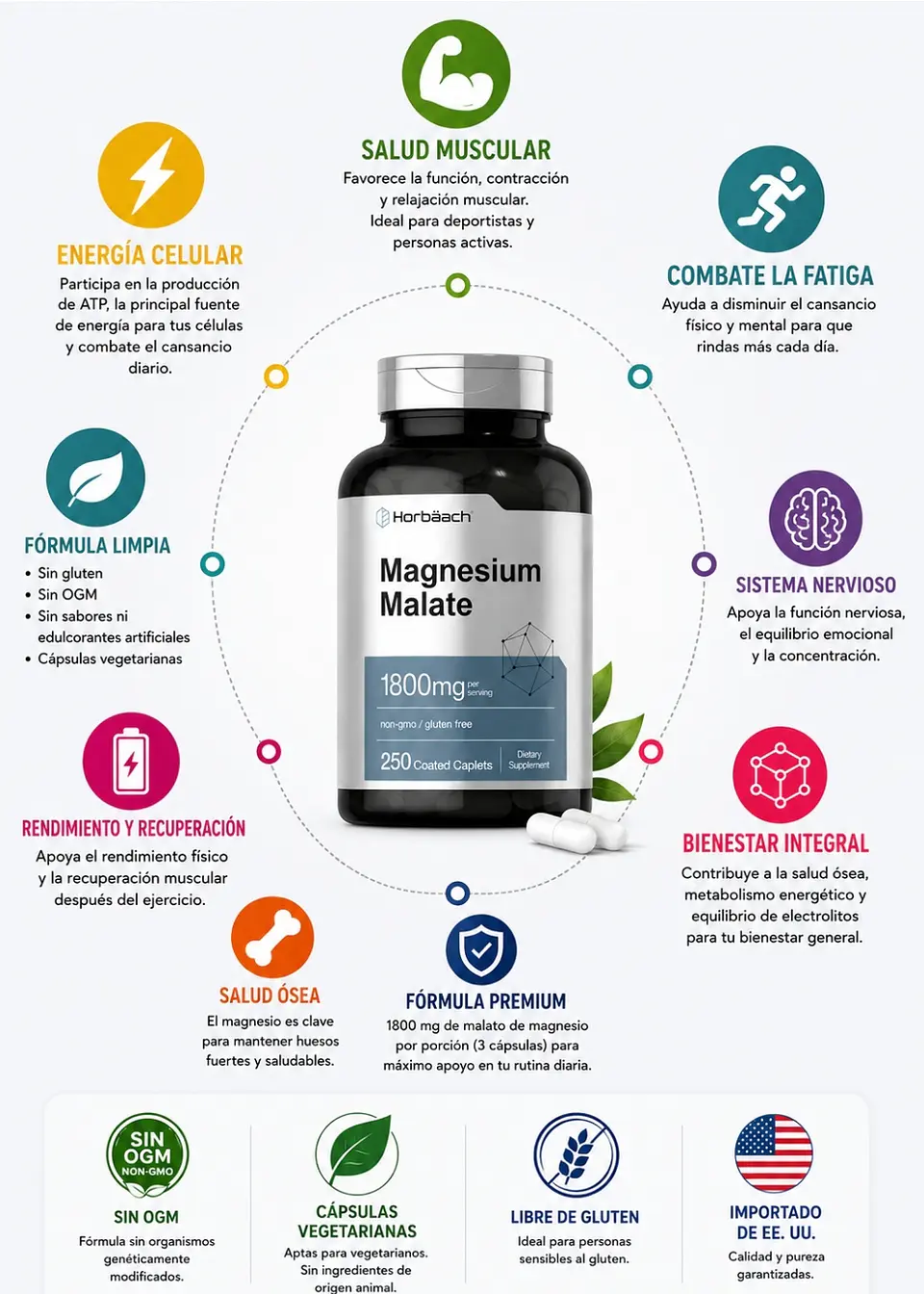 Malato de Magnesio Horbäach 1800 mg | 250 Cápsulas Vegetarianas | Energía Muscular,  Fatiga, Salud Muscular, Sistema Nervioso y Bienestar Integral | Sin OGM | Importado de EE. UU | Colombia 2