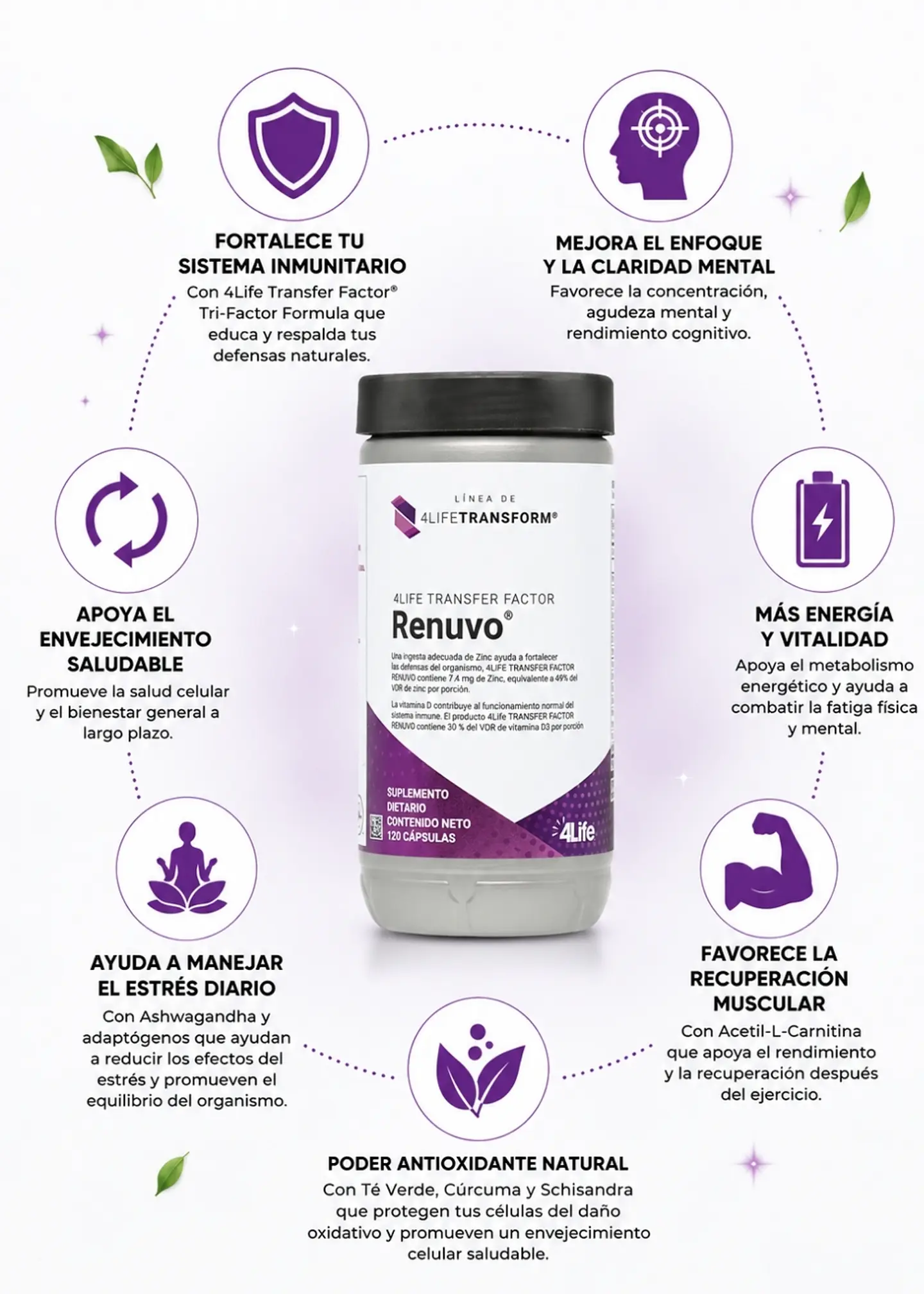 4Life Transfer Factor® Renuvo® 120 Cápsulas Vegetales | Ashwagandha + Acetil L-Carnitina + Schisandra + Té Verde + Cúrcuma + Transfer Factor® | Estrés, Energía, Recuperación Muscular, Enfoqu| Colombia 2