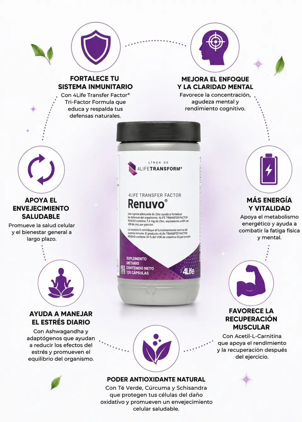 4Life Transfer Factor® Renuvo® 120 Cápsulas Vegetales | Ashwagandha + Acetil L-Carnitina + Schisandra + Té Verde + Cúrcuma + Transfer Factor® | Estrés, Energía, Recuperación Muscular, Enfoqu| Colombia 2